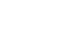 Shopify Premier Partner Badge
