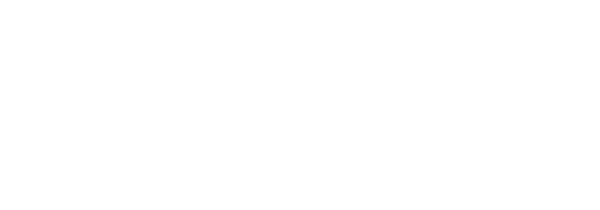 Google Partner Badge