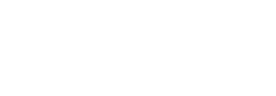 Meta Business Partner Logo
